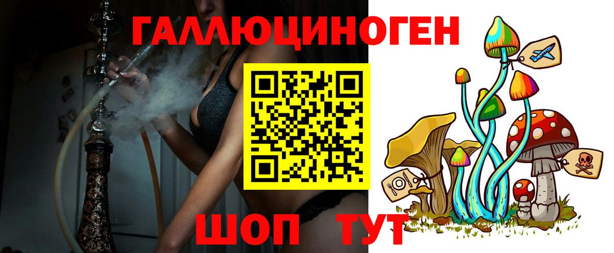 Галлюциногенные грибы GOLDEN TEACHER  Вход с VPN  Галлюциногенные грибы Magic Shrooms  Верхняя Пышма 