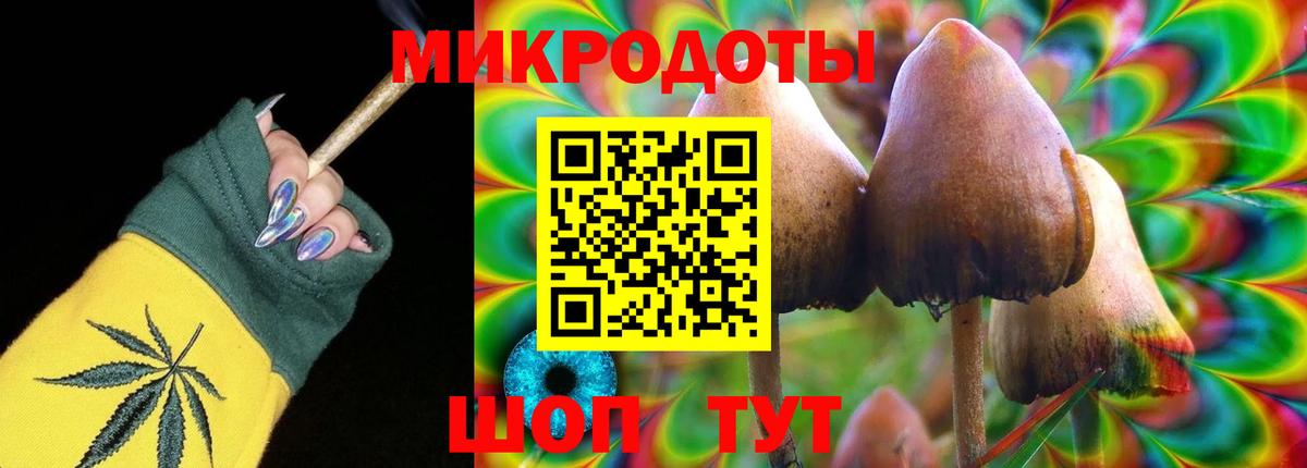 Псилоцибиновые грибы Psilocybe Верхняя Пышма